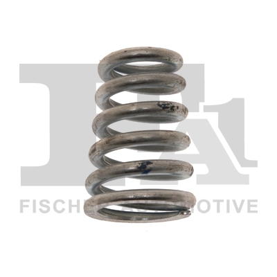 Spring, muffler