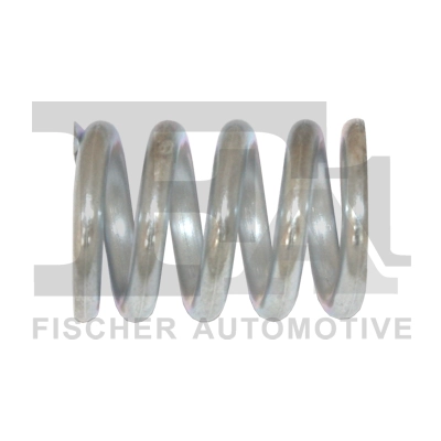 Spring, muffler