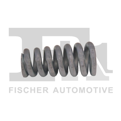 Spring, muffler