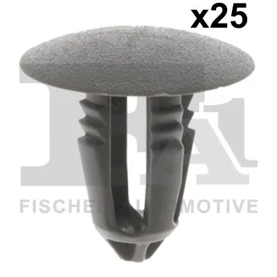 Clip, trim/protection strip