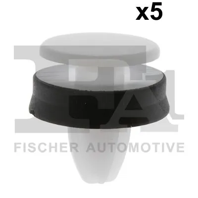 Clip, trim/protection strip