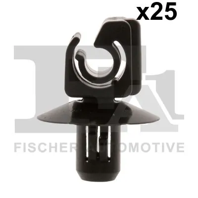 Clip, trim/protection strip