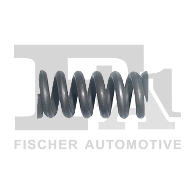 Spring, muffler