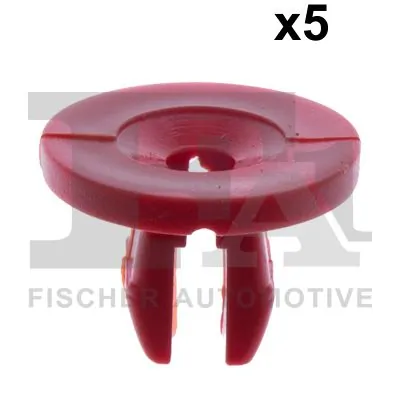 Clip, trim/protection strip