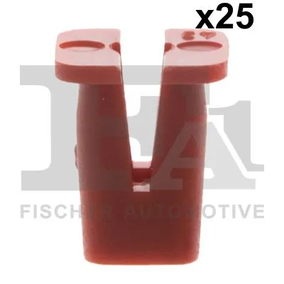 Clip, trim/protection strip