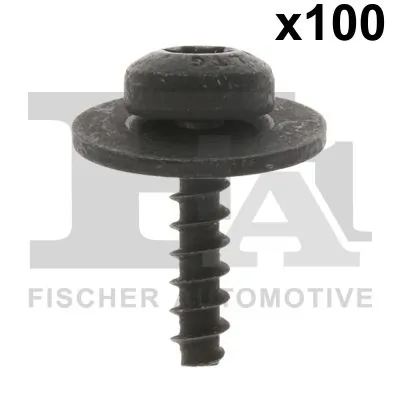 Clip, trim/protection strip