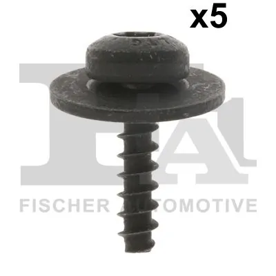 Clip, trim/protection strip