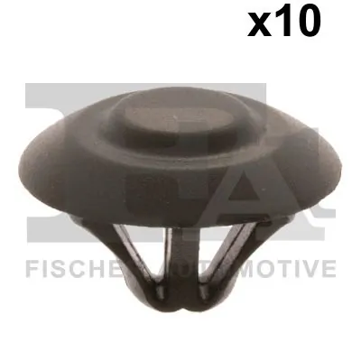 Clip, trim/protection strip