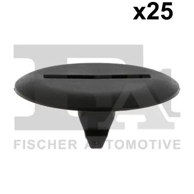 Clip, trim/protection strip