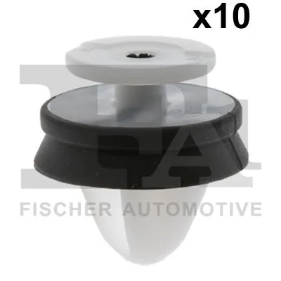 Clip, trim/protection strip