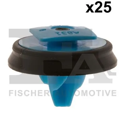 Clip, trim/protection strip