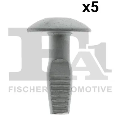 Clip, trim/protection strip