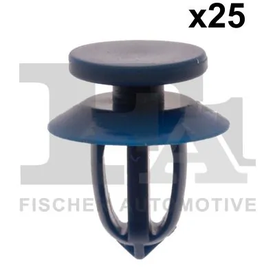 Clip, trim/protection strip