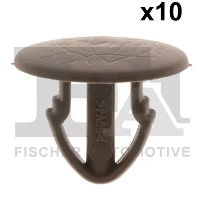 Clip, trim/protection strip