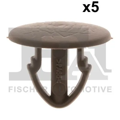 Clip, trim/protection strip