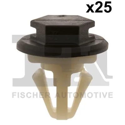 Clip, trim/protection strip