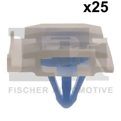 Clip, trim/protection strip