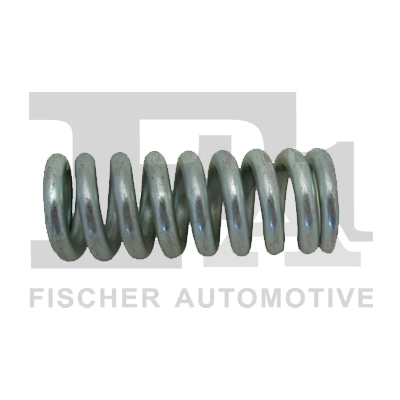 Spring, muffler