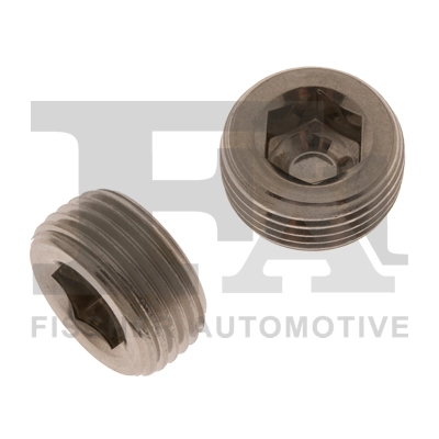 Screw Plug, oxygen sensor mount