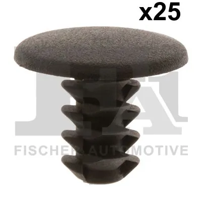 Clip, trim/protection strip