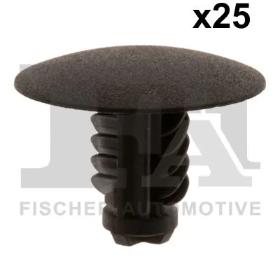 Clip, trim/protection strip