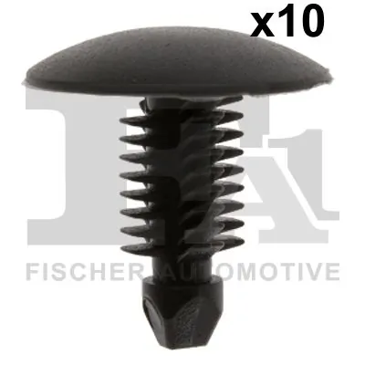 Clip, trim/protection strip
