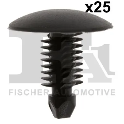 Clip, trim/protection strip