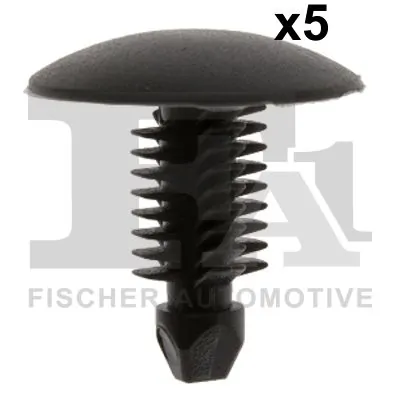 Clip, trim/protection strip