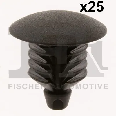 Clip, trim/protection strip