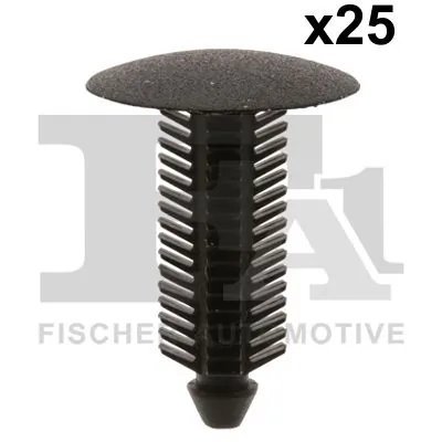 Clip, trim/protection strip