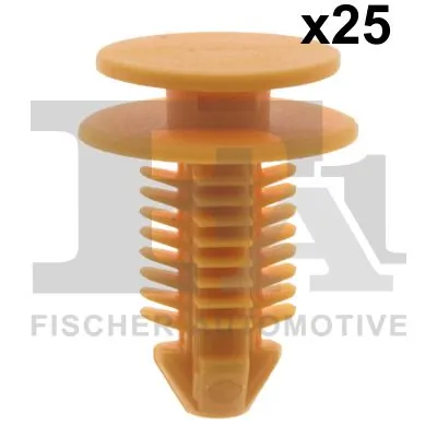 Clip, trim/protection strip