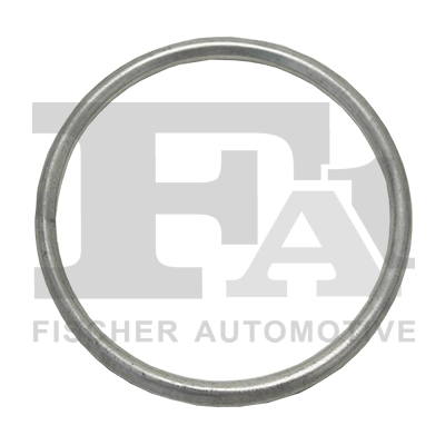 Seal Ring, exhaust pipe
