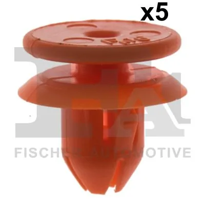 Clip, trim/protection strip