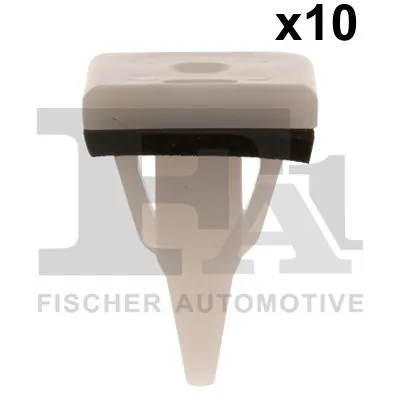 Clip, trim/protection strip