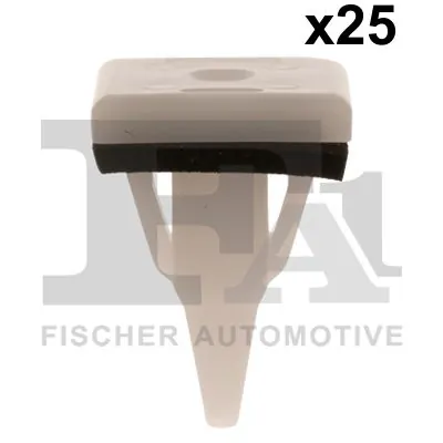 Clip, trim/protection strip