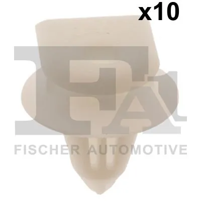 Clip, trim/protection strip
