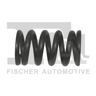 Spring, muffler