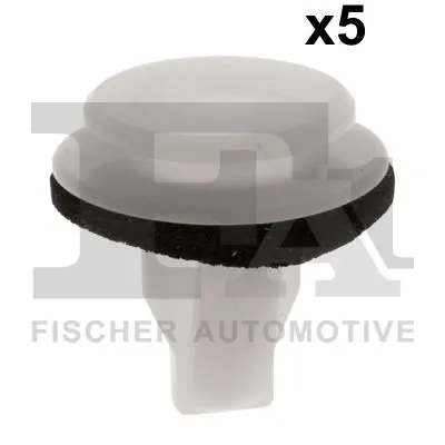 Clip, trim/protection strip