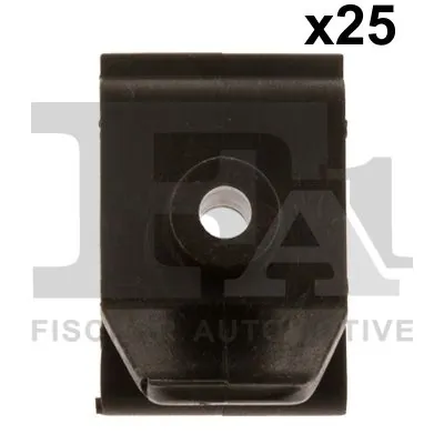 Clip, trim/protection strip