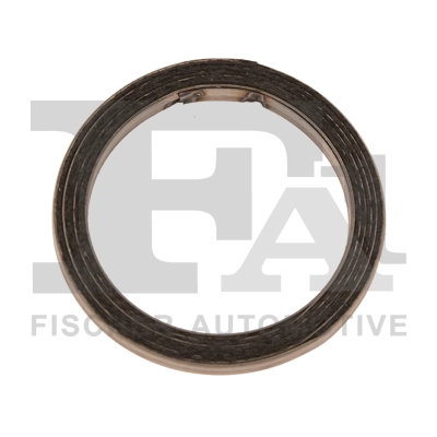 Seal Ring, exhaust pipe