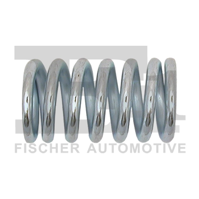 Spring, muffler