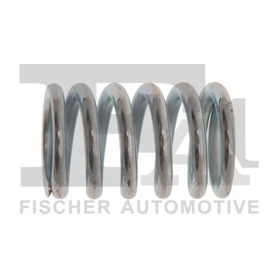 Spring, muffler
