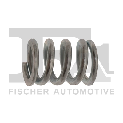Spring, muffler