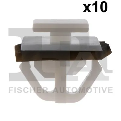 Clip, trim/protection strip