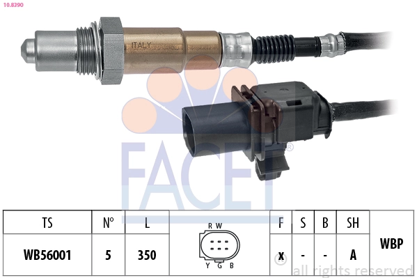 Oxygen Sensor