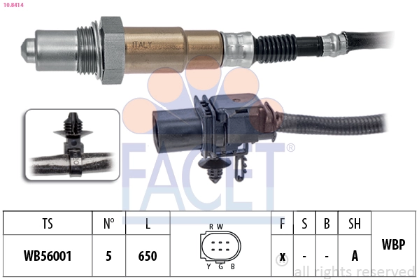 Oxygen Sensor
