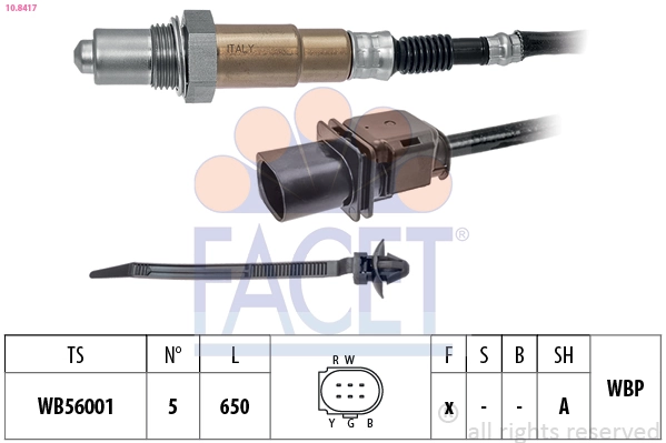 Oxygen Sensor