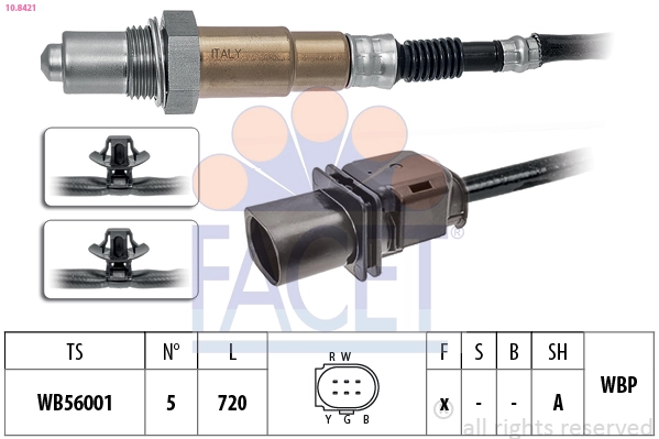 Oxygen Sensor