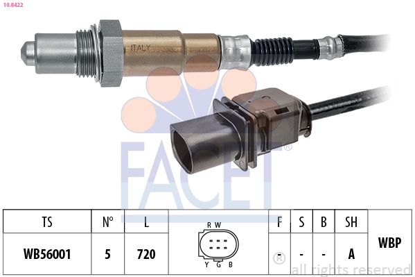 Oxygen Sensor