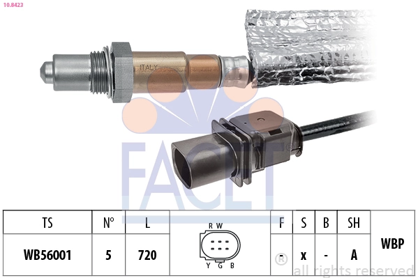 Oxygen Sensor